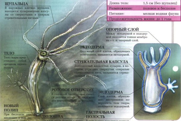 Ссылка на кракен kr2web in
